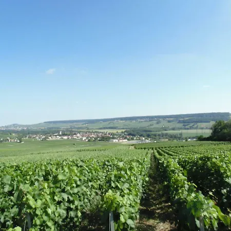 La Mignonette Épernay