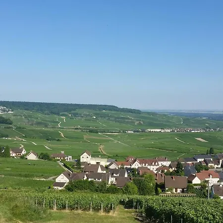 La Mignonette Épernay