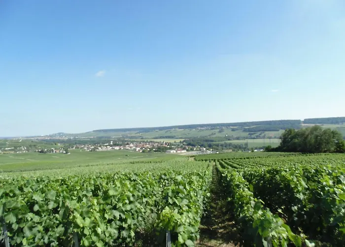 La Mignonette Epernay