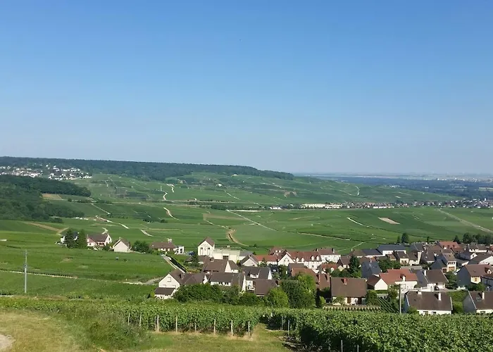 La Mignonette Epernay